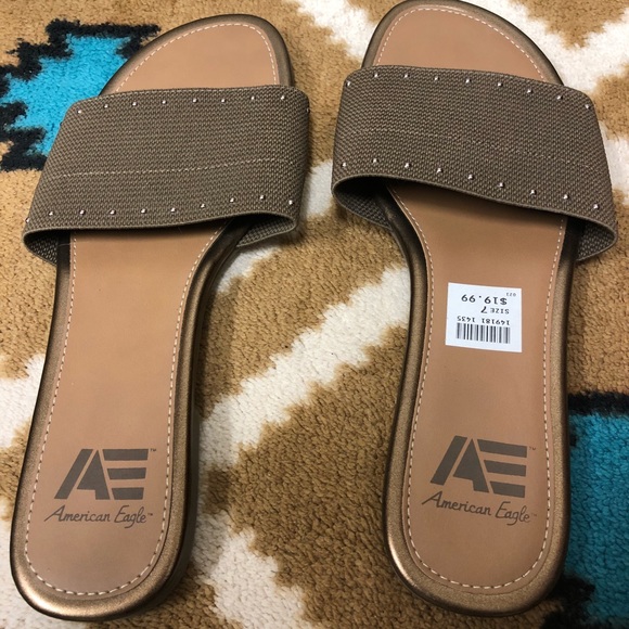 American eagle - Picture 6 of 8